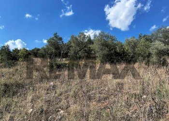 Vista delle montagne - Terreno agricolo via del new parco
snc, Padula - foto 5