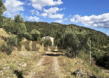 Vista delle montagne - Terreno agricolo via del new parco
snc, Padula - foto 19