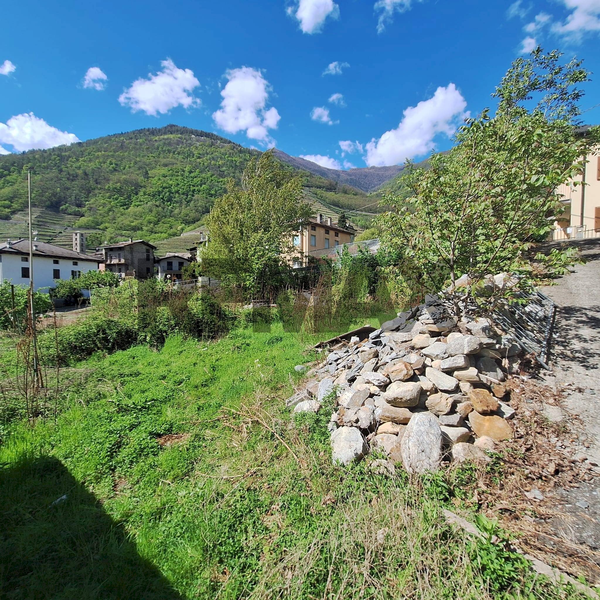 Vista delle montagne - Terreno edificabile via Rizzoli
sn, Bianzone - foto 2