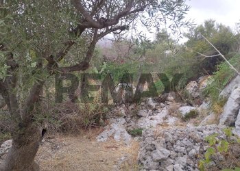 Giardino - Agricultural land via mulino mario
20, Siracusa - photo 1