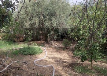 Giardino - Agricultural land via mulino mario
20, Siracusa - photo 16