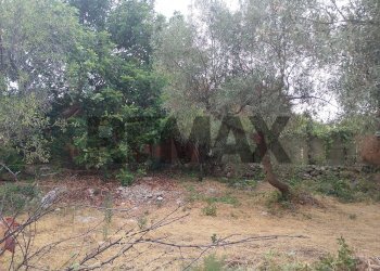 Giardino - Agricultural land via mulino mario
20, Siracusa - photo 23