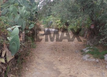 Giardino - Agricultural land via mulino mario
20, Siracusa - photo 24