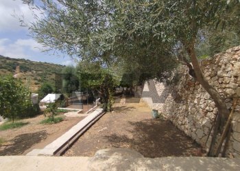 Giardino - Villa Contrada  Bosco di Sopra
 
24, Canicattini Bagni - foto 15