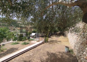 Giardino - Villa Contrada  Bosco di Sopra
 
24, Canicattini Bagni - foto 16