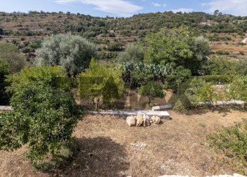 Vista delle montagne - Villa Contrada  Bosco di Sopra
 
24, Canicattini Bagni - foto 16