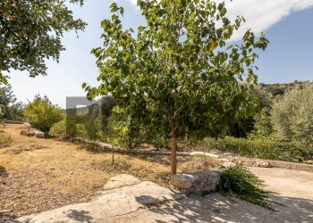 Giardino - Villa Contrada  Bosco di Sopra
 
24, Canicattini Bagni - foto 43