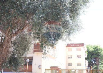Edificio all\'aperto - Appartamento Via Giuseppe De Falco
4, Caserta - foto 40