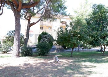 Edificio all\'aperto - Appartamento Via Giuseppe De Falco
4, Caserta - foto 58