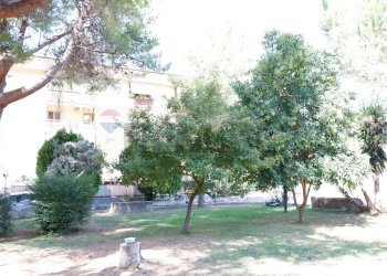 Edificio all\'aperto - Appartamento Via Giuseppe De Falco
4, Caserta - foto 59
