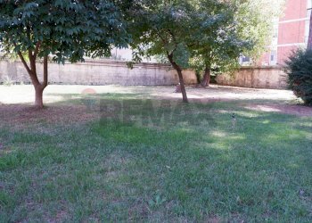 Giardino - Appartamento Via Giuseppe De Falco
4, Caserta - foto 67