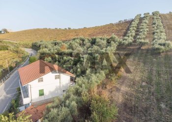 Casa all\'aperto - Villa Contrada Montupoli Avenna
 
128, Miglianico - photo 6