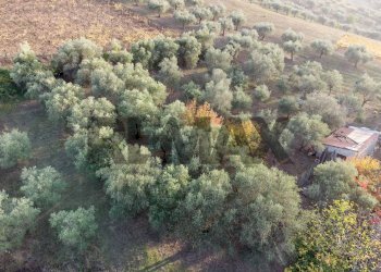 Non correlato - Villa Contrada Montupoli Avenna
 
128, Miglianico - photo 39