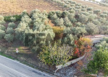 Non correlato - Villa Contrada Montupoli Avenna
 
128, Miglianico - photo 41