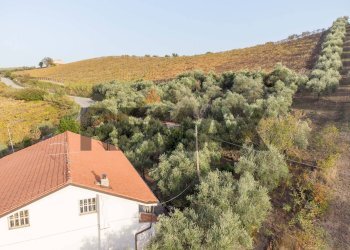 Casa all\'aperto - Villa Contrada Montupoli Avenna
 
128, Miglianico - photo 44
