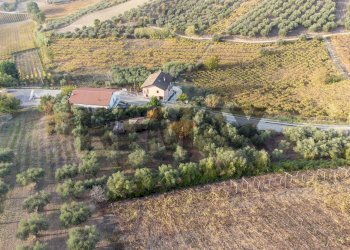 Vista delle montagne - Villa Contrada Montupoli Avenna
 
128, Miglianico - photo 50
