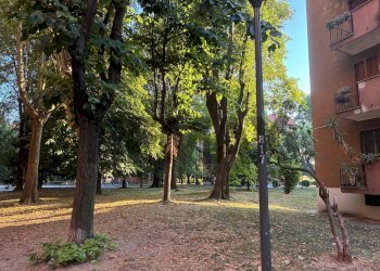 Giardino - Bilocale Via Val Di Bondo
 
21, Milano - foto 4