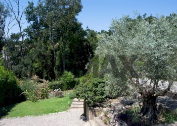 Giardino - Villa Viale Delle Rughe
 
169, Formello - foto 28