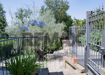 Terrazza - Villa Viale Delle Rughe
 
169, Formello - foto 29