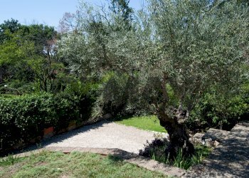 Giardino - Villa Viale Delle Rughe
 
169, Formello - foto 30