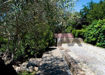 Giardino - Villa Viale Delle Rughe
 
169, Formello - foto 31