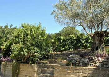 Giardino - Villa Viale Delle Rughe
 
169, Formello - foto 41