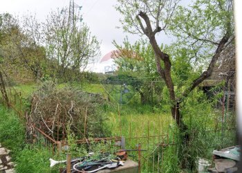 Giardino - Trilocale Via Melegnano
87, Roma - foto 27