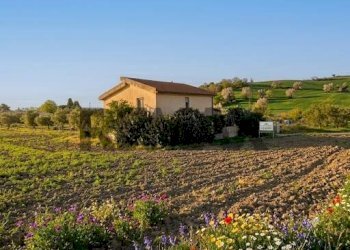 Giardino - Independent house contrada Bufali
 
sn, Ispica - photo 2