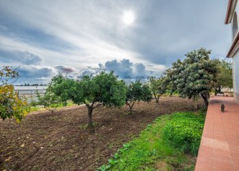 Giardino - Semi-detached house C.da Beneventana
 
SNC, Ragusa - photo 12