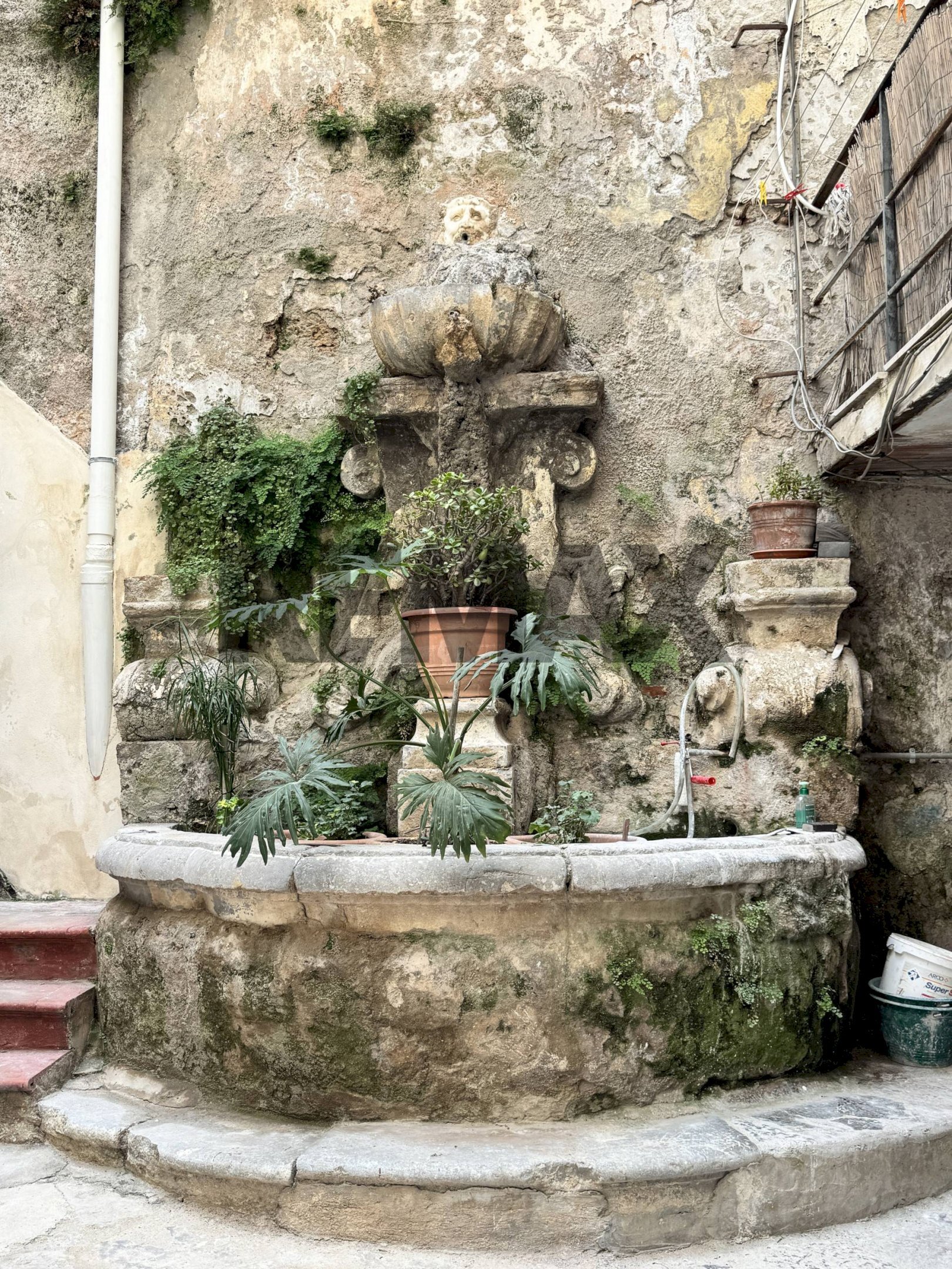 Giardino - Trilocale Via Vittorio Emanuele
474, Palermo - foto 2