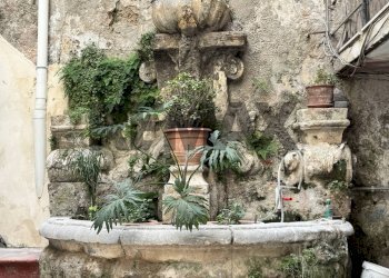 Giardino - Trilocale Via Vittorio Emanuele
474, Palermo - foto 2