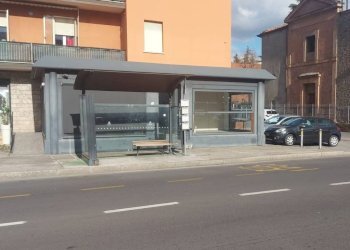 Veranda - Negozio San Lazzaro di Savena - foto 8