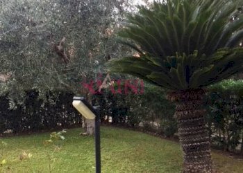 Foto 35 - Terraced Villa Grosseto - photo 35