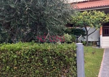 Foto 44 - Terraced Villa Grosseto - photo 44