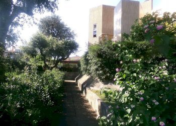 Giardino - Attico via Arcobaleno, 18, Anzio - foto 34