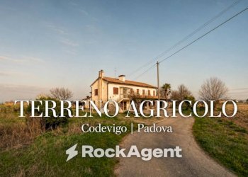 Terreno - Terreno agricolo via Bosco, 29, Codevigo - foto 1