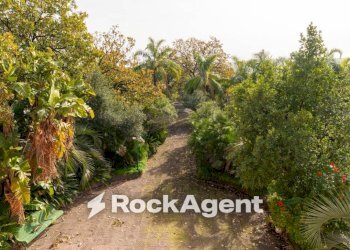 Terreno - Rustico strada 34, Giarre - foto 32