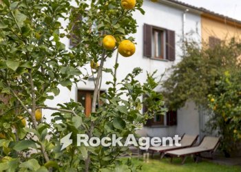 Giardino - Independent house via della Quercia, 90a, Massarosa - photo 13
