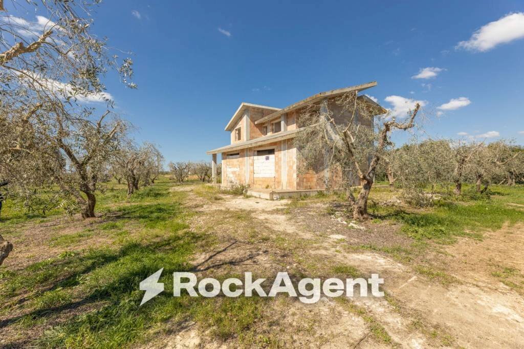 Terreno - Villa contrada Sant' Anna, Casarano - foto 3