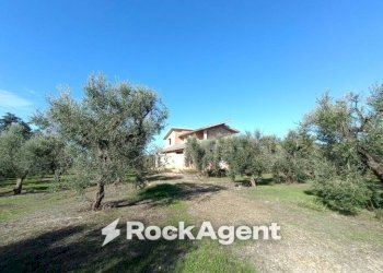 Terreno - Villa contrada Sant' Anna, Casarano - foto 6