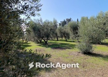 Terreno - Villa contrada Sant' Anna, Casarano - foto 12