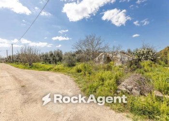 Terreno - Villa contrada Sant' Anna, Casarano - foto 17