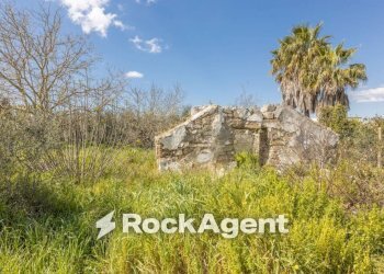 Terreno - Villa contrada Sant' Anna, Casarano - foto 21
