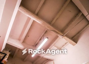 Interno palazzo - Alimentari - Gastronomia Bologna (zona Centro Storico) - foto 6