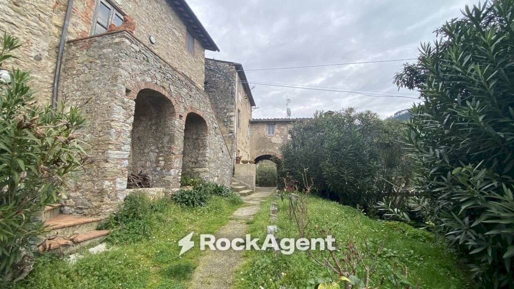 Giardino - Casa indipendente strada Comunale di Nocchi, 131, Camaiore - foto 3