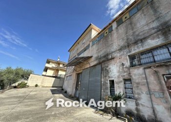 Terreno - Shed via Pedine, Tollo - photo 5