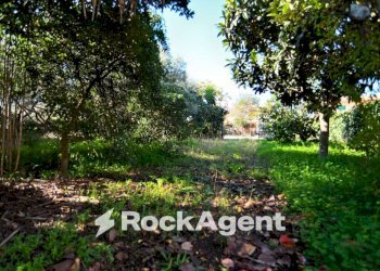 Giardino - Building land via Genio Civile, Aprilia - photo 31