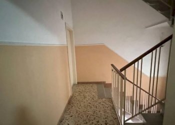 Scala - Stable - Palace viale Trieste, Chioggia - photo 7