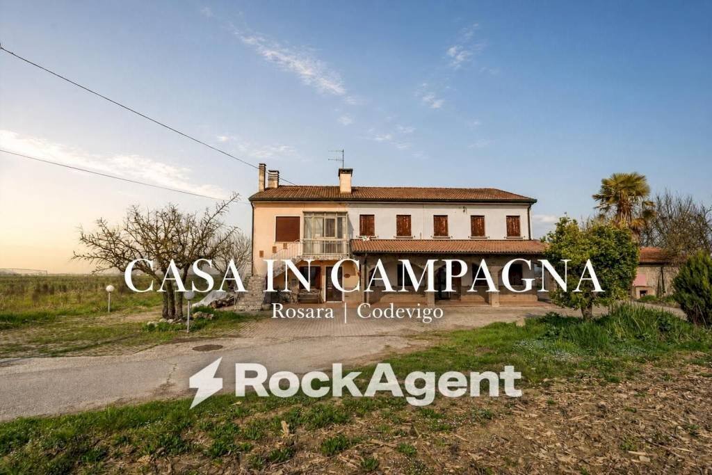 Terreno - Rustic via Bosco, 29, Codevigo - photo 1