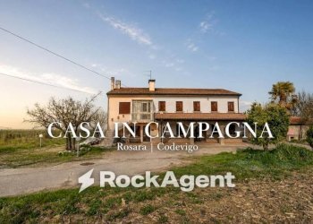 Terreno - Rustic via Bosco, 29, Codevigo - photo 1